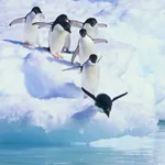 AMVB Administratie & Advies