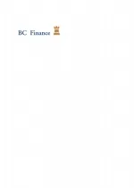 A.Brinkman Holding B.V.