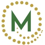 De Financiële Business Mentor