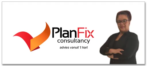 Planfix consultancy