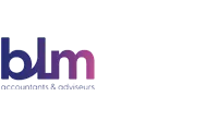 BLM Accountants & Adviseurs