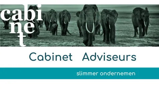 Cabinet Adviseurs